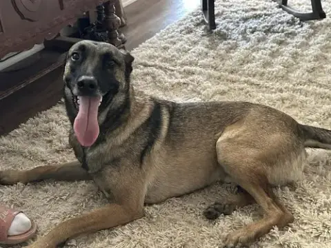 Lexy Located In Nm