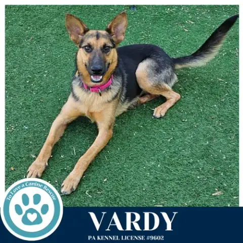 Vardy 041826 photo 3