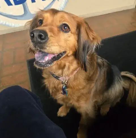 Penny In Ri photo 5