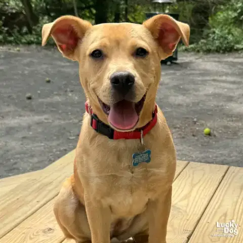 Maggie photo 2