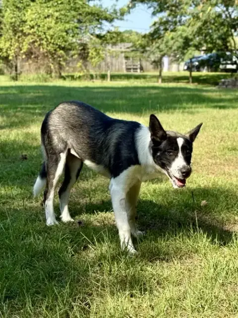 Delanie photo 4