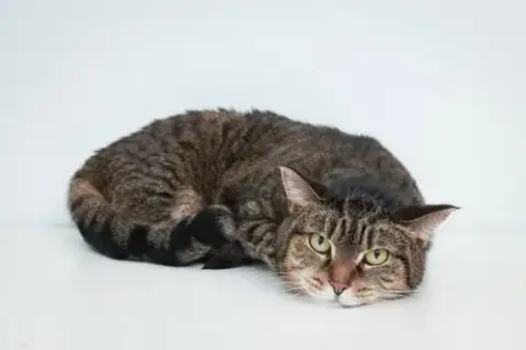 Patience photo 4