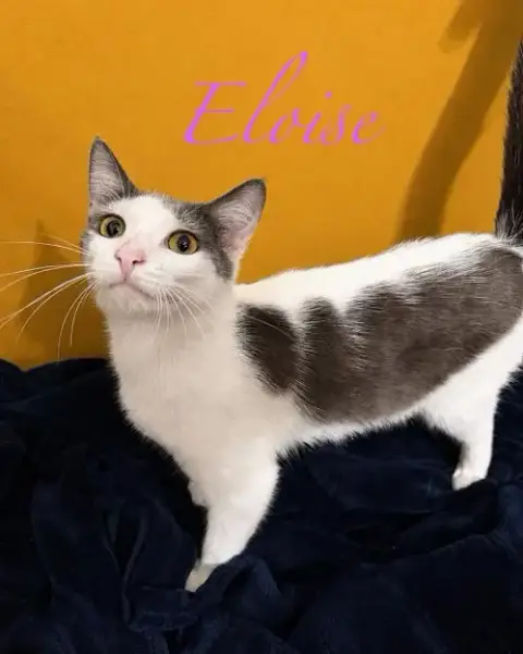 Eloise photo 3
