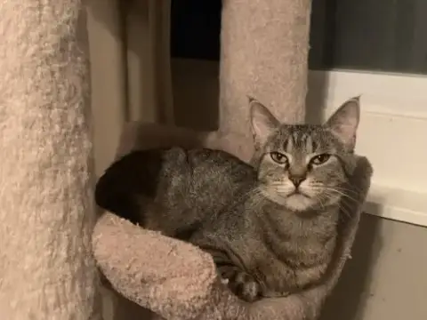 Maggie photo 2