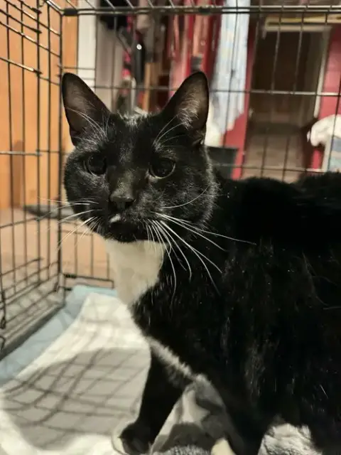 Winnie