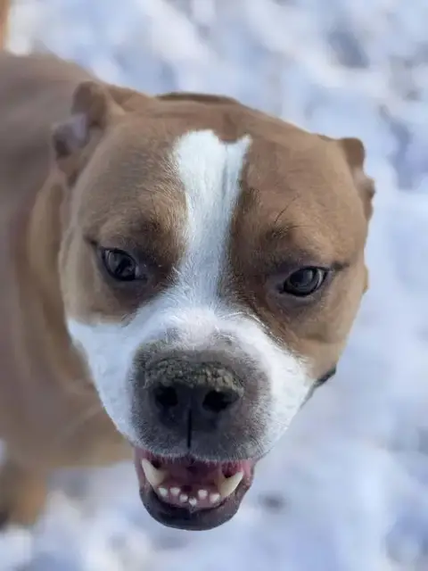 Ashton Now Tyson photo 3