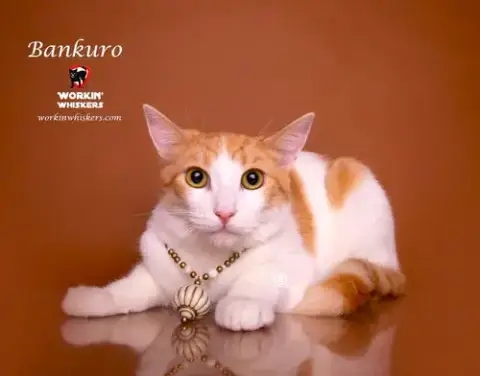 Bankuro