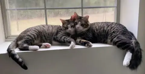 Fluff