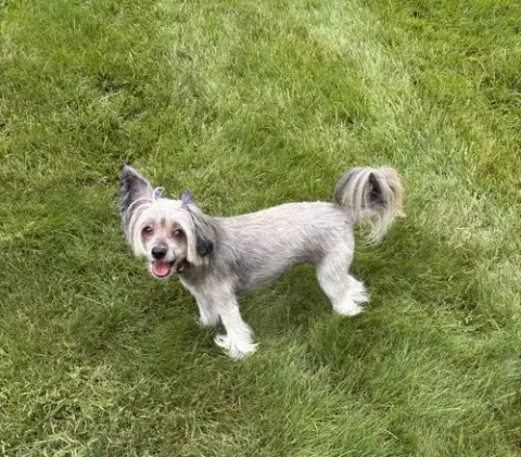 Sasha In Cincinnati Ohio