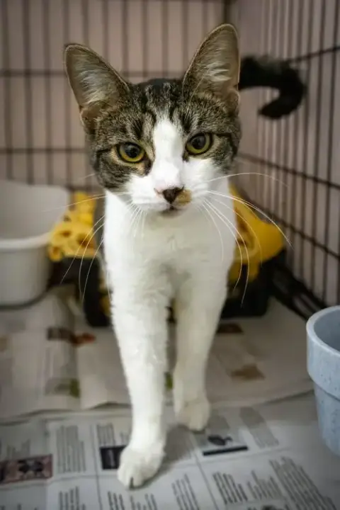 Freya photo 4