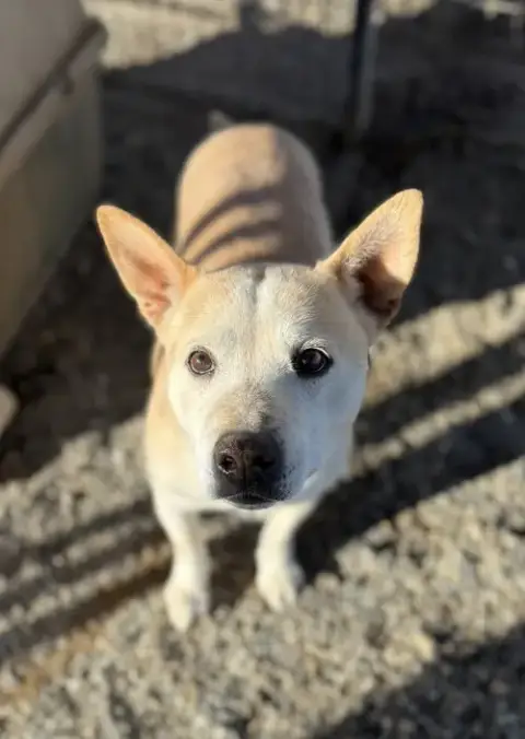 Buster photo 3