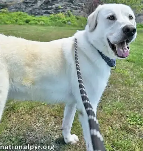 Zeus In Ct photo 2
