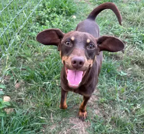 Wesson In Tx photo 4