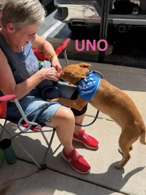 Lh  Uno photo 2