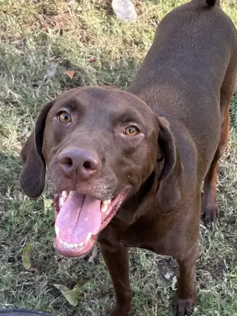 Buddy photo 4
