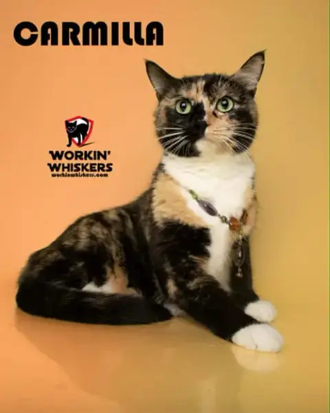 Carmilla