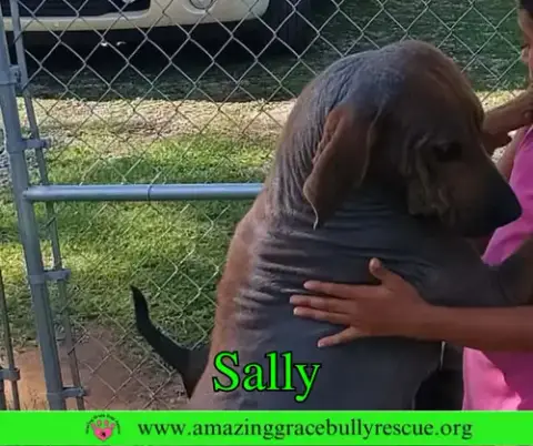 Sally 2 photo 5