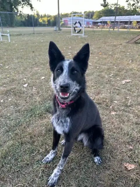 Abby- For Sponsorship Only photo 2
