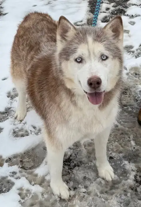 Lucy: Bonded With Kira
