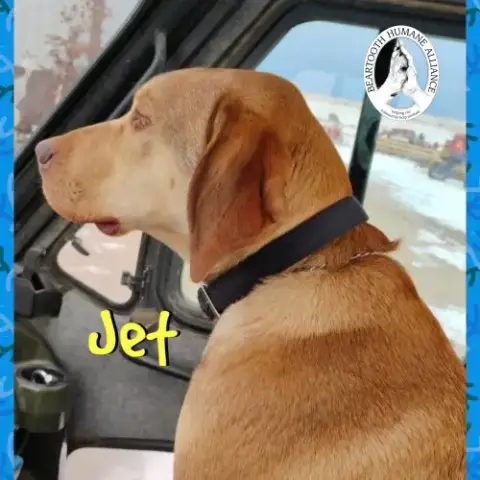 Jet photo 2