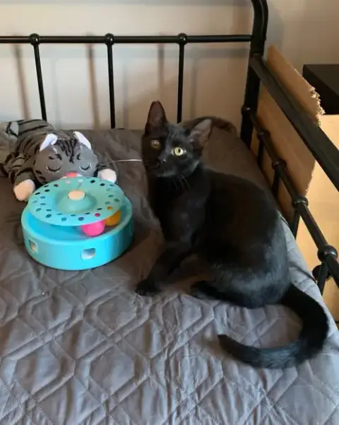 Carter And Tucker photo 5