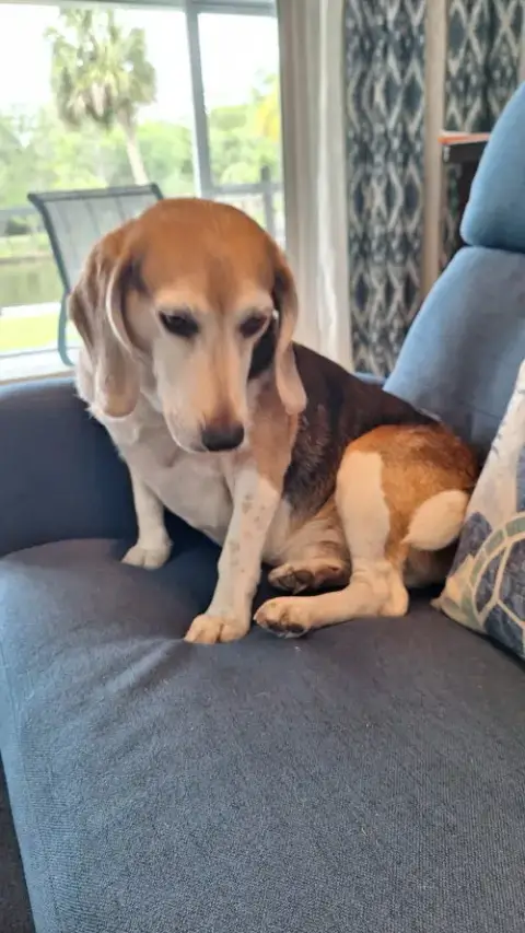George