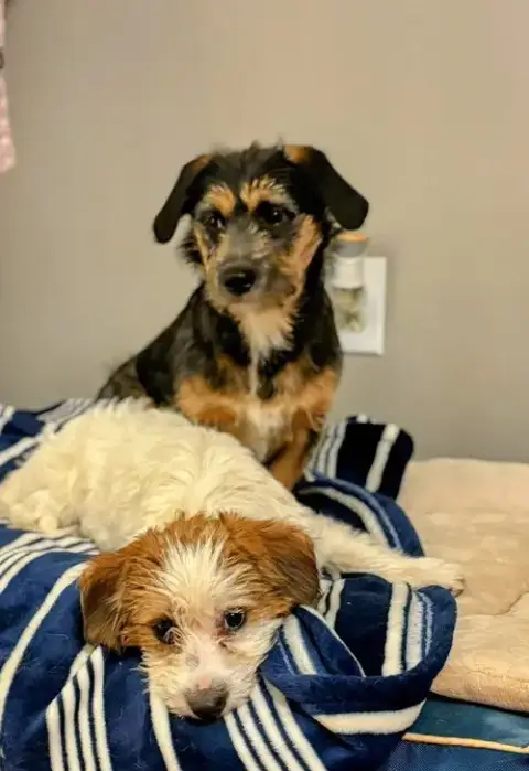 Sisters photo 4
