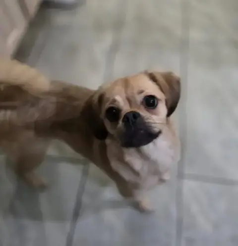 Lily