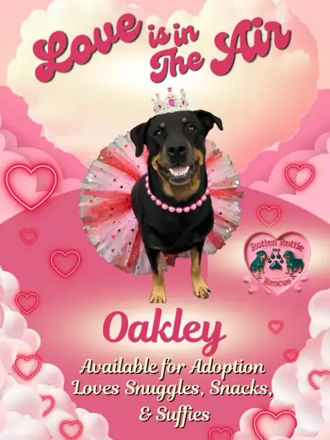 Oakley photo 2