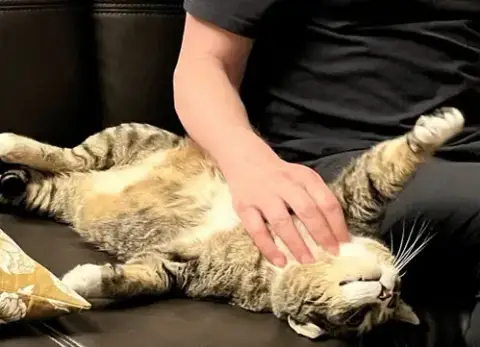 Mr. Bagel photo 3