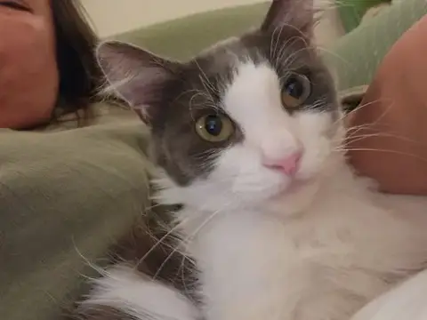 Sweetie And Milo photo 4