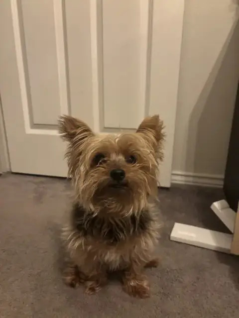 Charlie