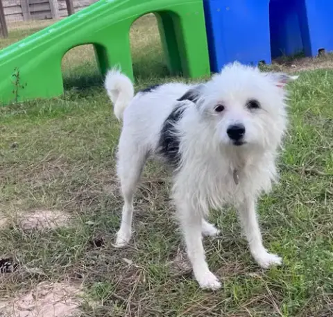Flora Mae In Tx photo 2