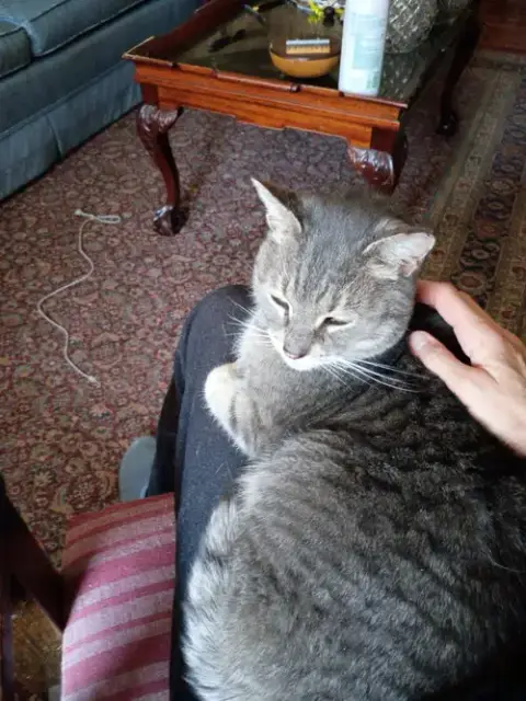 Snuggs photo 4