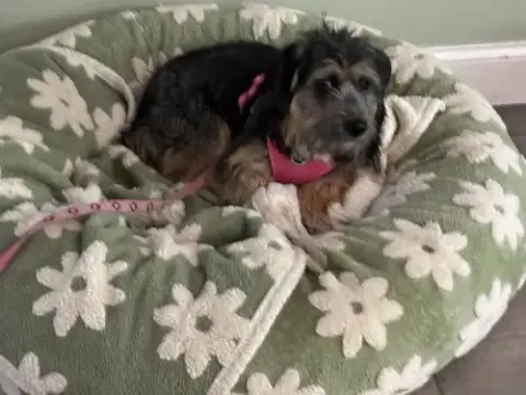 Sisters
