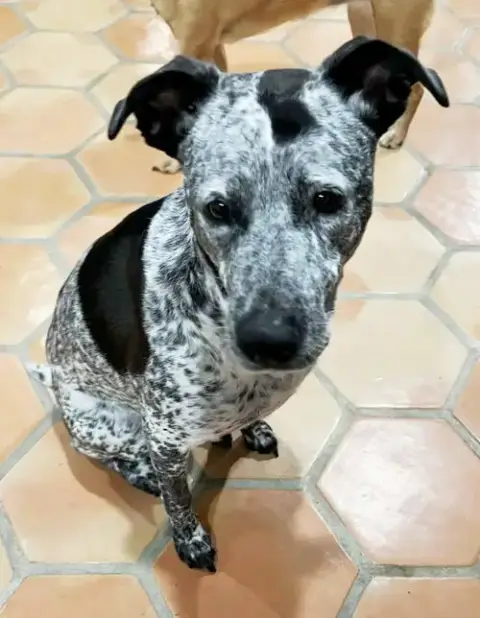 Maya photo 3