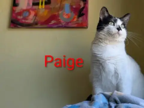 Paige photo 4