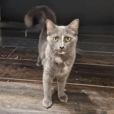 Delilah photo 3
