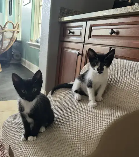 Magic And Daisy photo 2