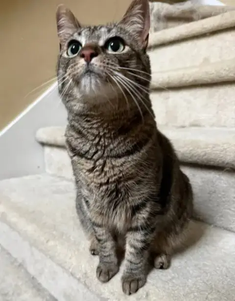 Rosie photo 4
