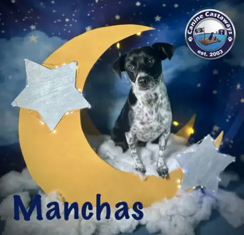 Manchas photo 4