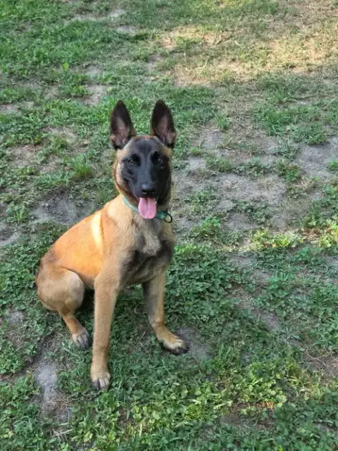 Nacho photo 3