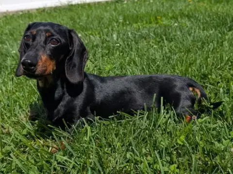 Malorie In Fl photo 4