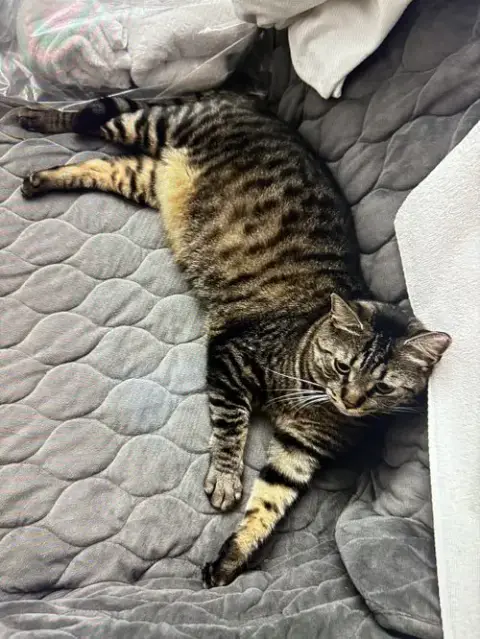 Timmy photo 4