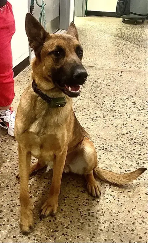 Taz photo 2