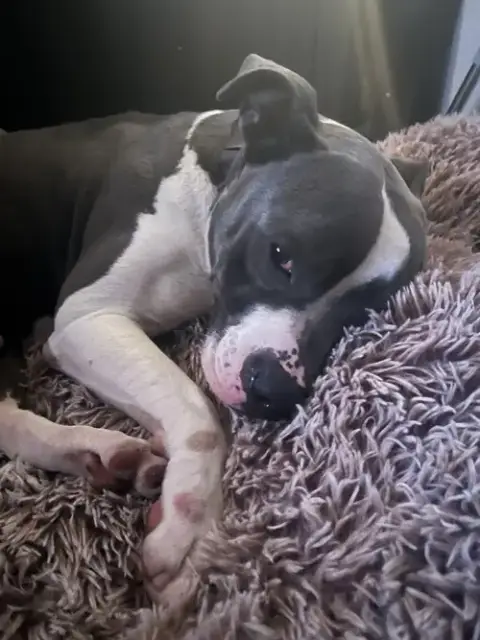Zeus photo 4