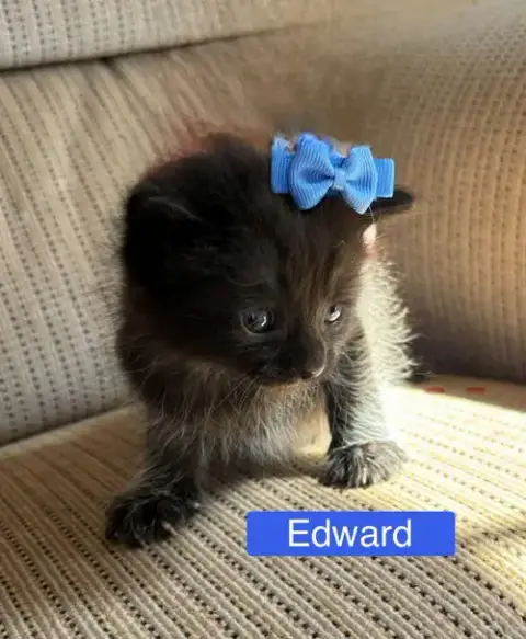 Edward