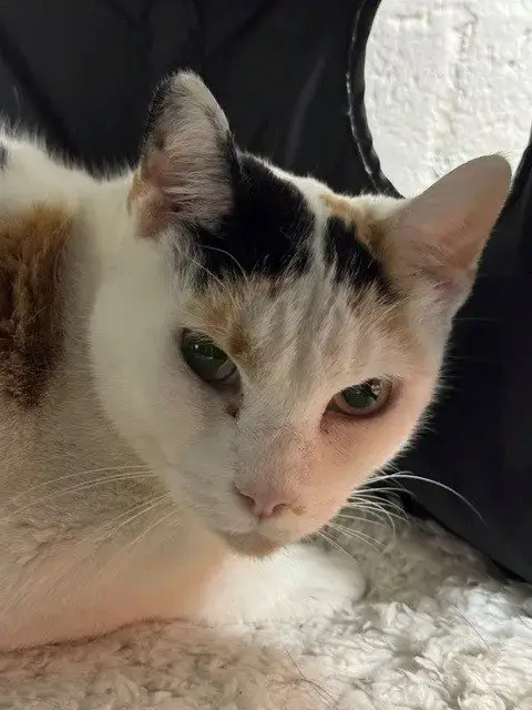 Mommy