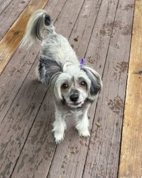 Sasha In Cincinnati Ohio photo 5