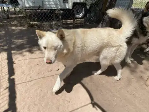 Chase photo 3